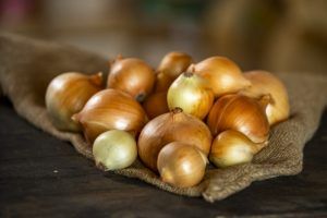 Onions from Germany supplied by Otto und Thomas Schmoll GbR Kartoffelbau - Whole Fresh Onion