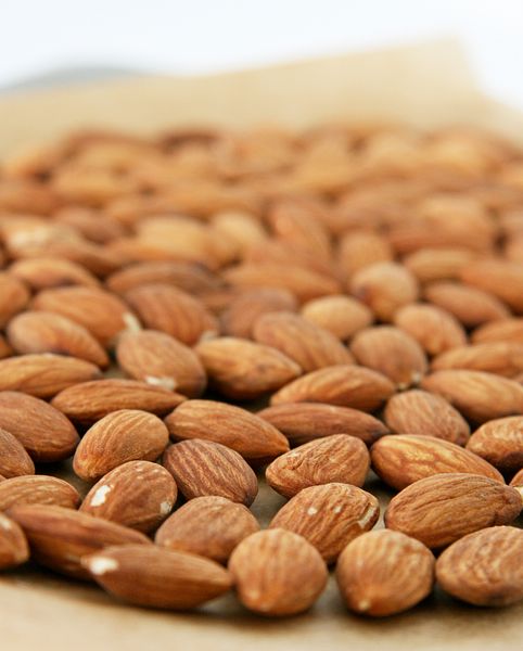 Almond from 아프가니스탄 supplied by Habib Omid Trading Co LTD - 갈색 아몬드 알맹이
