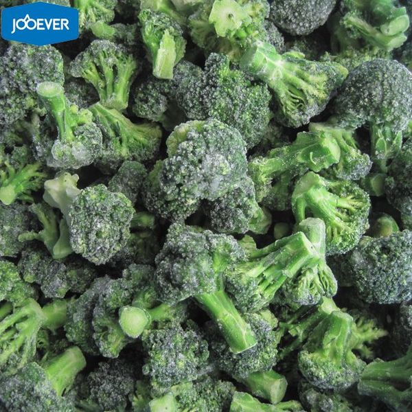 Frozen Broccoli from 이집트 supplied by First choice - 냉동 브로콜리