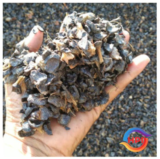 Palm Kernell Shell from 인도네시아 supplied by Haska Pakindo Internasional - 팜핵 껍질