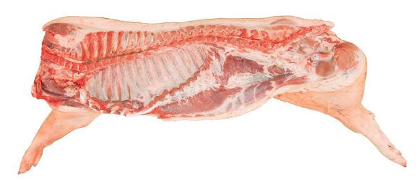 Fresh Pork from 오스트리아 supplied by Vonach Meat - 선홍색 신선 돼지고기 햄 및 목살