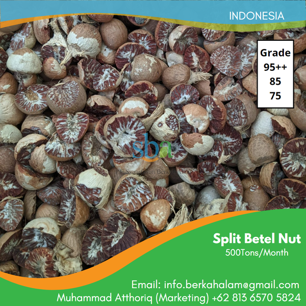 Areca nut from Indonesia supplied by PT Syamfiwan Berkah Alam - Whitish Brown Areca Nut