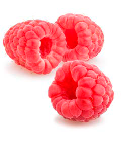 IQF Raspberry from 폴란드 supplied by RUN-CHŁODNIA we Włocławku Sp. z o.o. - As per customer's request 신선 라즈베리
