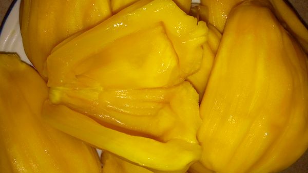 Honey Jackfruit from 말레이시아 supplied by green energy products - Honey Jackfruit 잭프루트