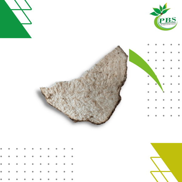 Konjac chip from 인도네시아 supplied by PT Syamfiwan Berkah Alam - Super Quality 곤약