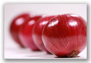 Fresh Onion from 미국 supplied by Bybee Produce, LLC - Raw 신선 양파