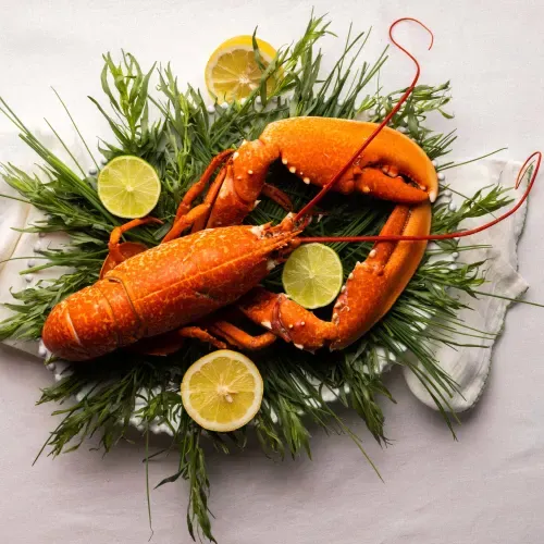 Lobster from 영국 supplied by Fish For Thought Limited - Frozen - Cooked Frozen 신선 랍스터