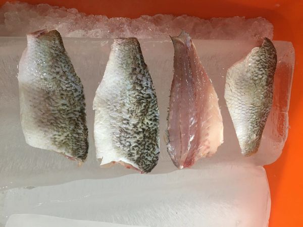 Baramunddi Slices from 베트남 supplied by PT. MEJEZ CENTENIAL CEMERLANG - Medium Quality 어분