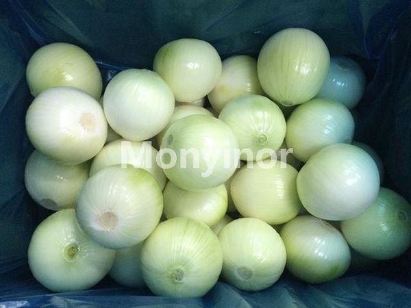 Fresh Onion from China supplied by Qingdao Monyinor Food Co., Ltd - Peeled Fresh Onion