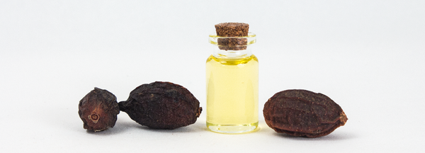 Argan Oil from 독일 supplied by All Organic Trading GmbH - RBD (=Refined, Bleached, and Deodorized) 아르간 오일