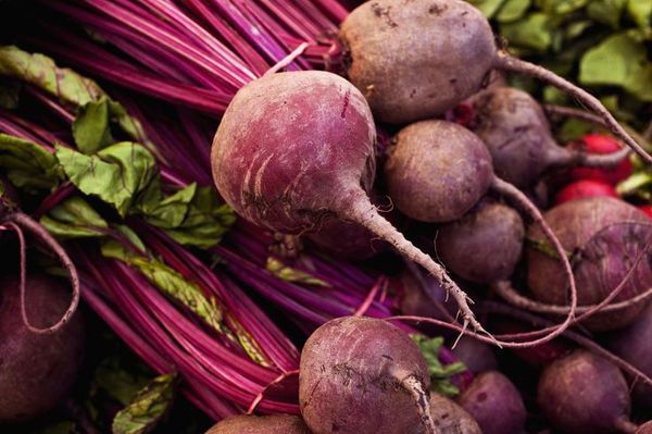 Fresh beet from 폴란드 supplied by POLSWEET Sp. z o.o. - Purple 신선 비트