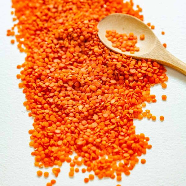 Red Lentils from 미국 supplied by Aileen Quirk & Sons, Inc - 레드 렌틸 말린 렌틸