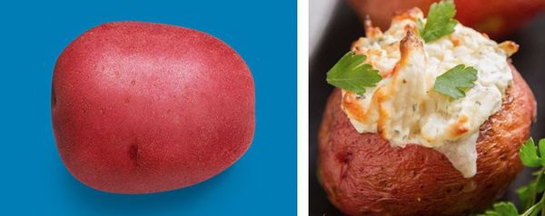 Fresh Red Potatoes from 캐나다 supplied by KROEKER FARMS LIMITED - King Russet 신선 일반 감자
