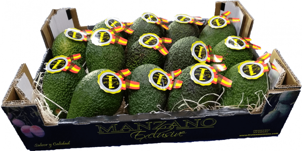 Avocado from 스페인 supplied by Frutas Manzano (Frutas Rafael Manzano e Hijos SL) - 짙은 녹색 신선 아보카도