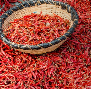 Red Chili from 인도 supplied by Agrocrops Exim Limited - Whole 말린 통고추