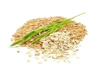 Oats from 미국 supplied by J&J Corporation (DBA: Soyko International Inc.) - White 귀리