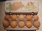Fresh Chicken Egg from Germany supplied by Hof Maas - In Shell Chicken Egg