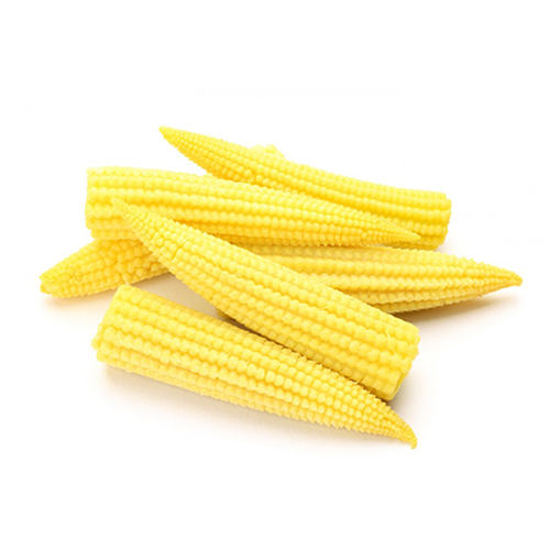 Babycorn from Kenya supplied by Mula Export - Baby Corn Maize (Corn)