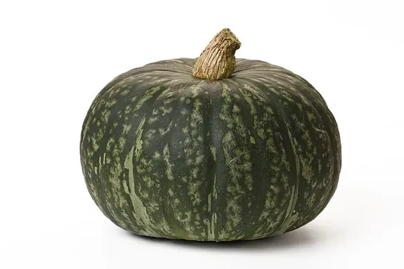 Squash from 캐나다 supplied by Agrivera Food Group - Spaghetti Squash 기타 스쿼시 및 기타 호박류