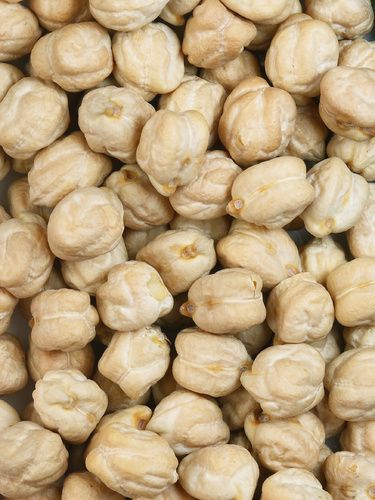 chickpeas from 인도 supplied by SUNGOLD TRADE PVT LTD - Kabuli 말린 병아리콩