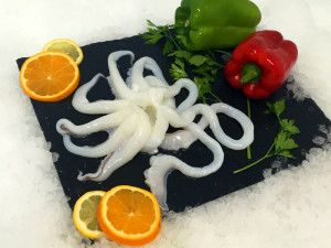 Cuttlefish from 스페인 supplied by Oceanic Sea Food SL - 원물 냉동 갑오징어