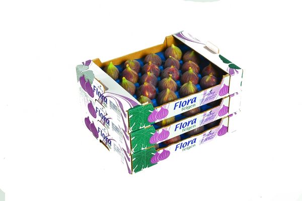 Fig from 튀르키예 supplied by Mevsim Gida - Plastic Box 말린 무화과