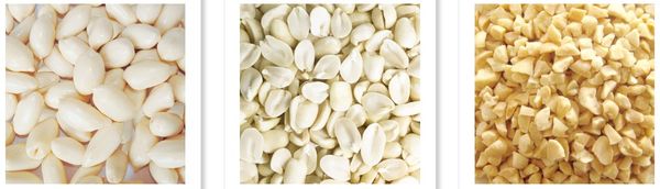 Raw Peanut from 중국 supplied by Liaoning Zhengye Peanut Industry Development Co., Ltd - White 땅콩 알맹이