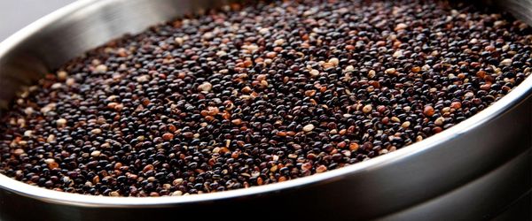 Black Quinoa from Bolivia supplied by Comrural XXI S. R. L. - Kibbled Quinoa