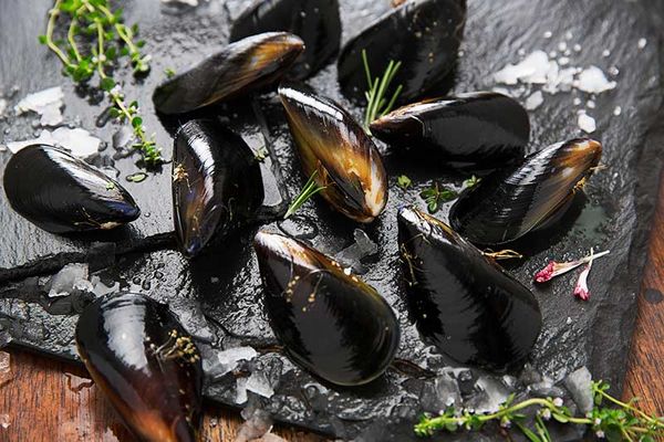 Black Mussel from Australia supplied by JD's Seafood Export Contractors Pty Ltd - 40-60 pcs/kg Frozen Mussel