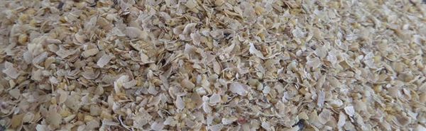 Danube soybean husks from 독일 supplied by MH Agrarhandel GmbH - Husk 다른 곡물 껍질
