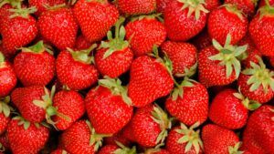 Strawberry from 멕시코 supplied by DEFRUT, S.A. DE C.V. - Dried 신선 딸기