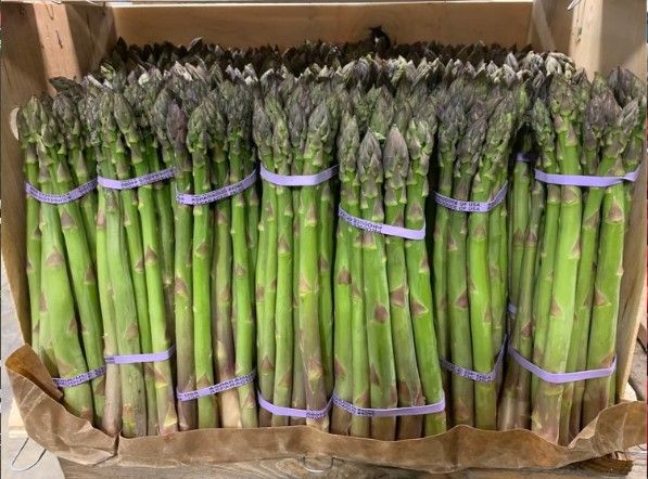 Fresh Asparagus from United States supplied by M D'Ottavio Produce Inc - Green Fresh Asparagus