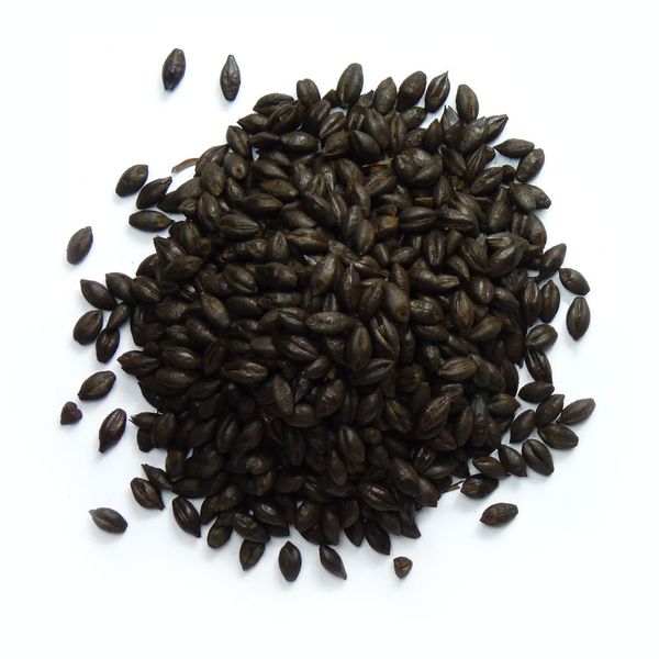 Roasted Barley from United Kingdom supplied by Warminster Maltings Limited - Conventional Barley