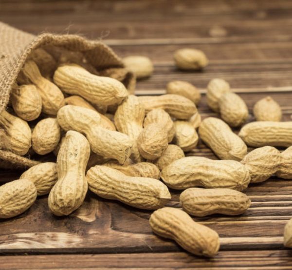 groundnut from 인도 supplied by KAMDHENU AGRI INDUSTRIES - Vacuum Bags (25 kg) 땅콩 알맹이