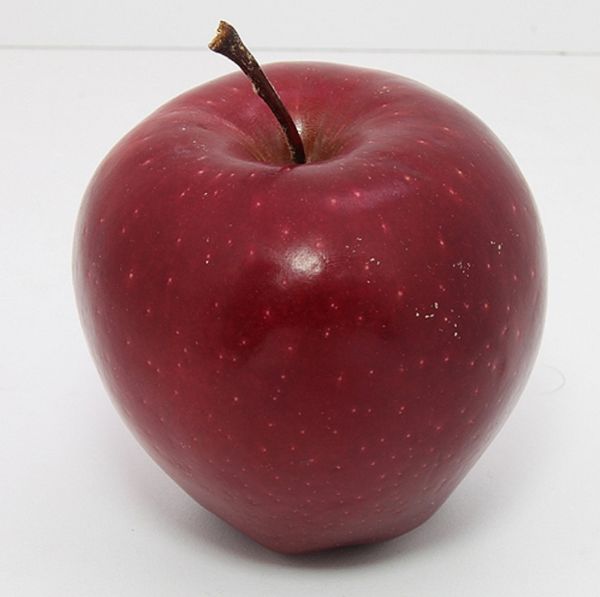 Apple from 튀르키예 supplied by DFF Gida - Amasia (=Amasia) 신선 사과