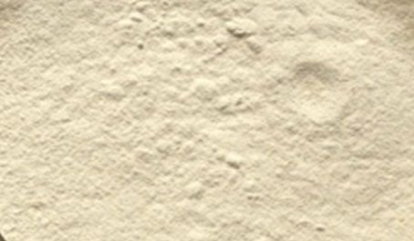 Tamarind kernel Powder from India supplied by Altrafine Gums - Powder Fresh Tamarind