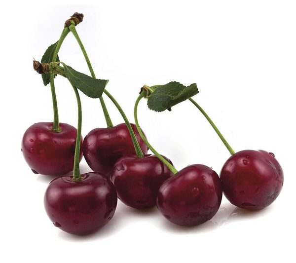 Fresh Cherry from Spain supplied by CONJUNTFRUIT - Dark Red Fresh Sweet Cherry