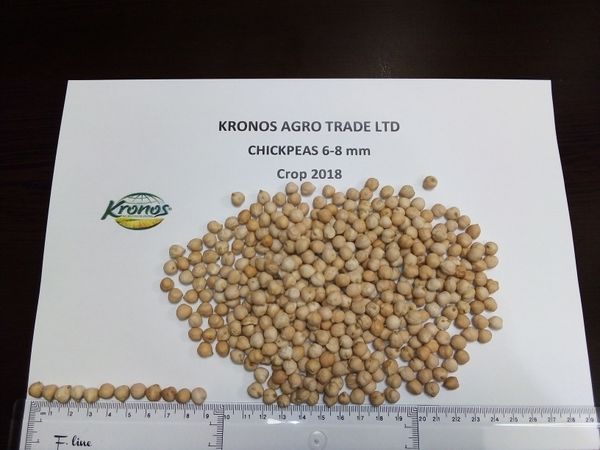 Whole Chickpea from Bulgaria supplied by KRONOS AGRO TRADE LTD - Kabuli Dried Chickpea
