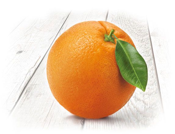 Orange from 아르헨티나 supplied by Battaglio Argentina S.A. - 주황색 신선 오렌지