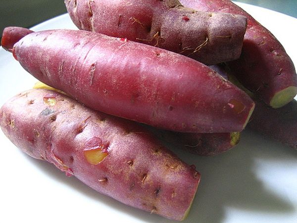 Japanese Sweet Potato from 베트남 supplied by Bao Minh Farm - Washed 고구마