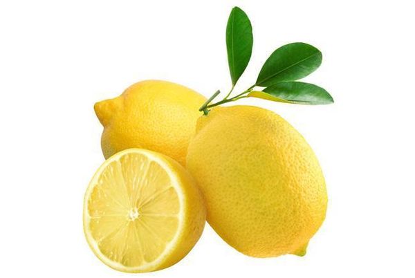 Lemon from 남아프리카공화국 supplied by ALG Estates (Pty) Ltd - Eureka 신선 레몬