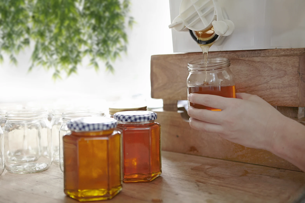 Honey from 아르헨티나 supplied by Gasrroni S.A. - Fresh 꿀