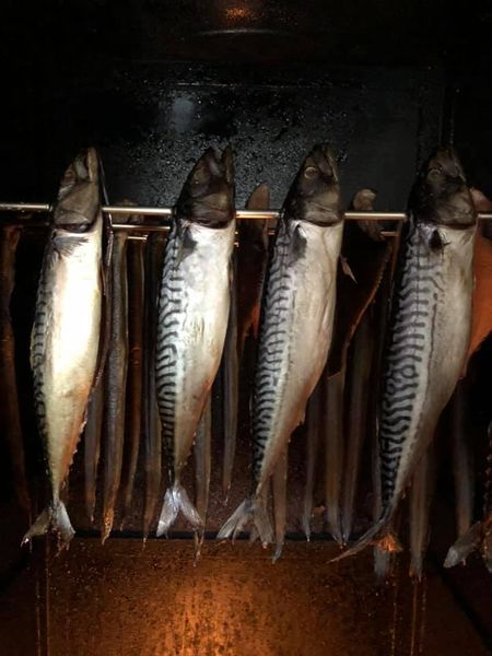 Smoked Mackerel from Germany supplied by Old Pommernkate GmbH - Fillet Value Added Mackerel