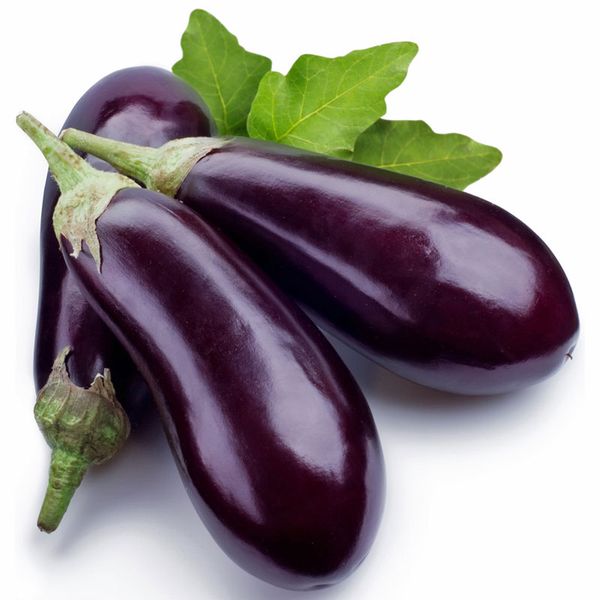 Eggplant from 튀르키예 supplied by Sin Gida Sanayi ve Tic.Ltd.Sti. - Conventional 가지