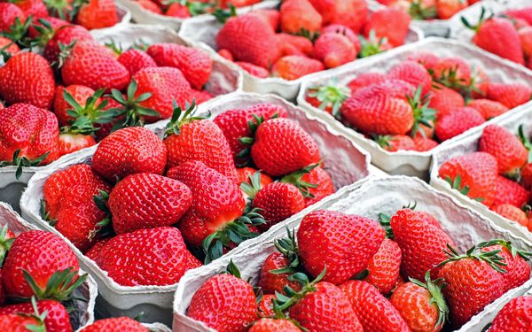 Fresh Strawberry from Germany supplied by LANDMARKT - Red Fresh Strawberry