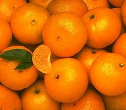 Mandarin from 튀르키예 supplied by Ergün Halcilik Ambalaj İthalat İhracat Sanayi Ticaret Ltd. Şti. - Orange 신선 만다린