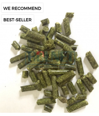 alfalfa from 폴란드 supplied by Rolnet - For Feed 알팔파