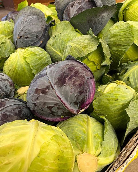 Cabbage from 미국 supplied by THISTLEDOWN FARMS - Purple 신선 양배추