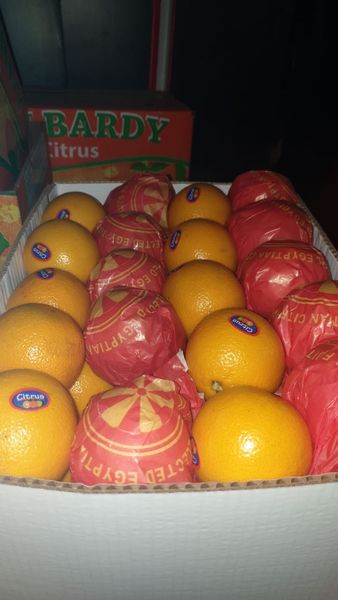 Fresh Oranges from Egypt supplied by Egitra Co - Fresh Guava