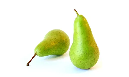 Fresh Conference Pears from 폴란드 supplied by SADCO GRUPA SP. Z O.O. - Yellow 신선 배